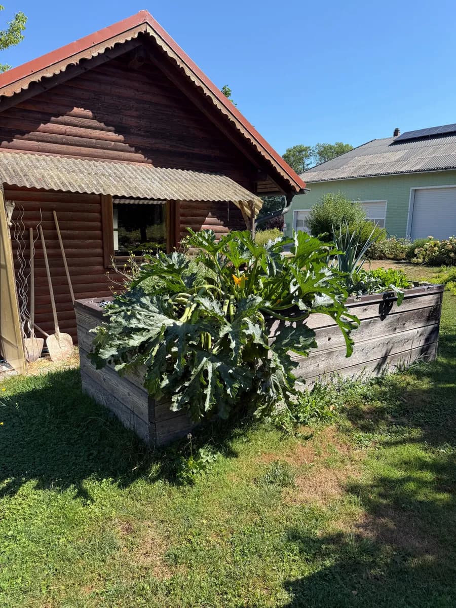 4-Zimmer-Haus mieten in Grieskirchen – 120 m², € 1.470 – Bild 9 von 33
