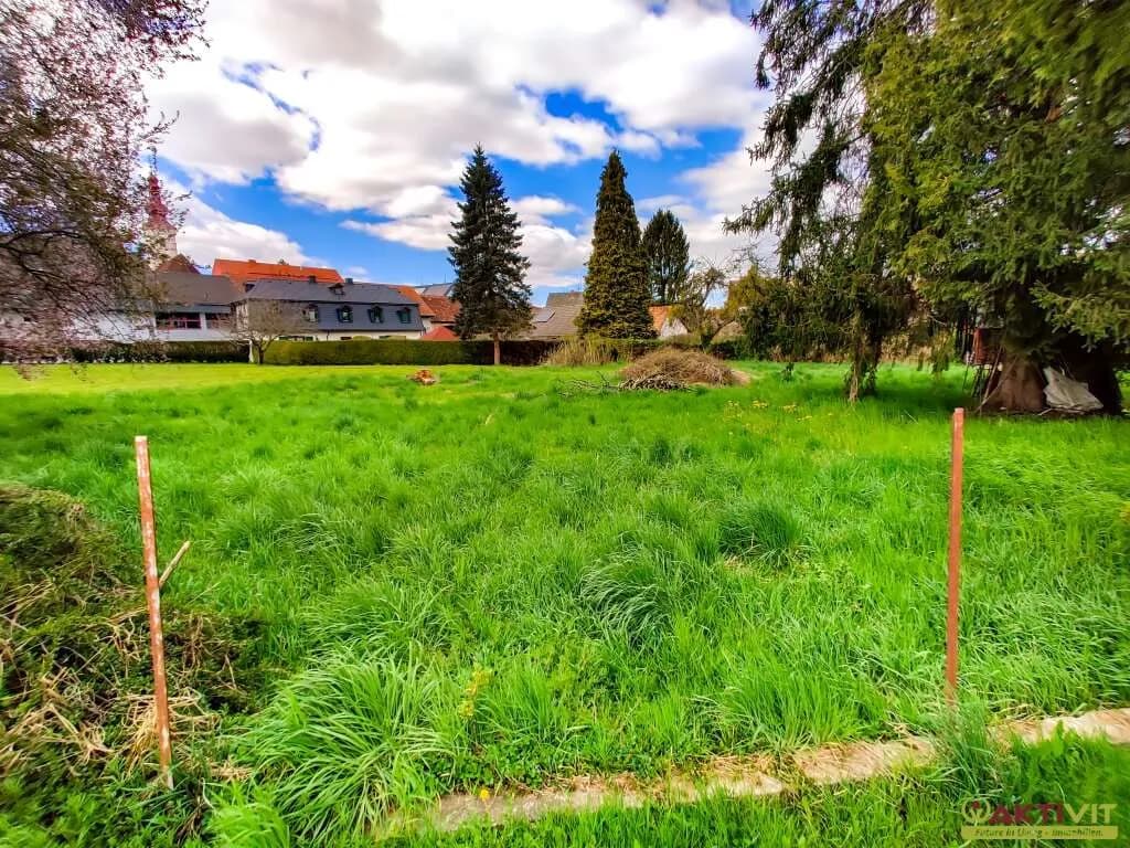 Grundstück kaufen in Südoststeiermark – 1 202 m², € 75.000 – Bild 2 von 7