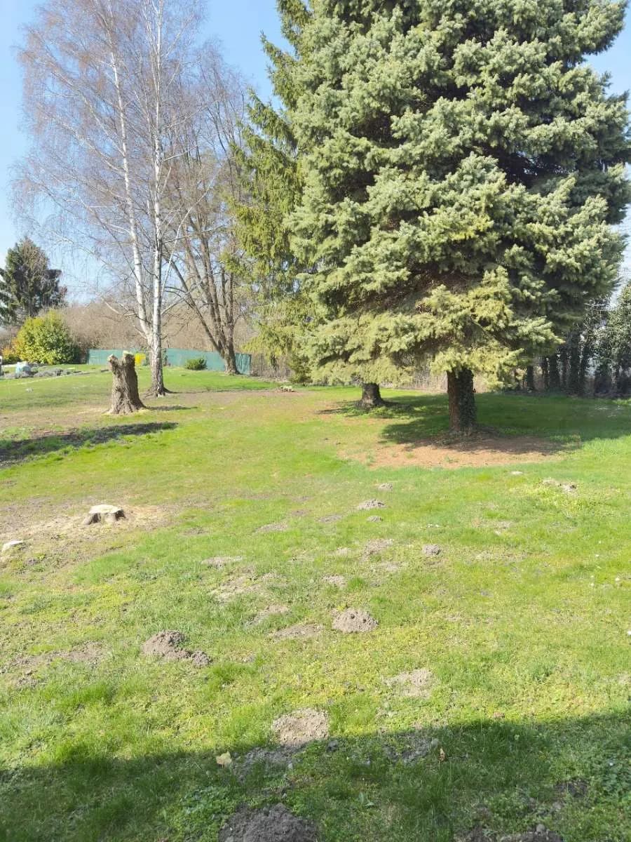 Grundstück kaufen in Korneuburg – 983 m², € 182.000 – Bild 6 von 14