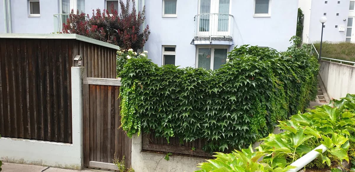 5-Zimmer-Haus mieten in Wien – 138 m², € 1.950 – Bild 5 von 12