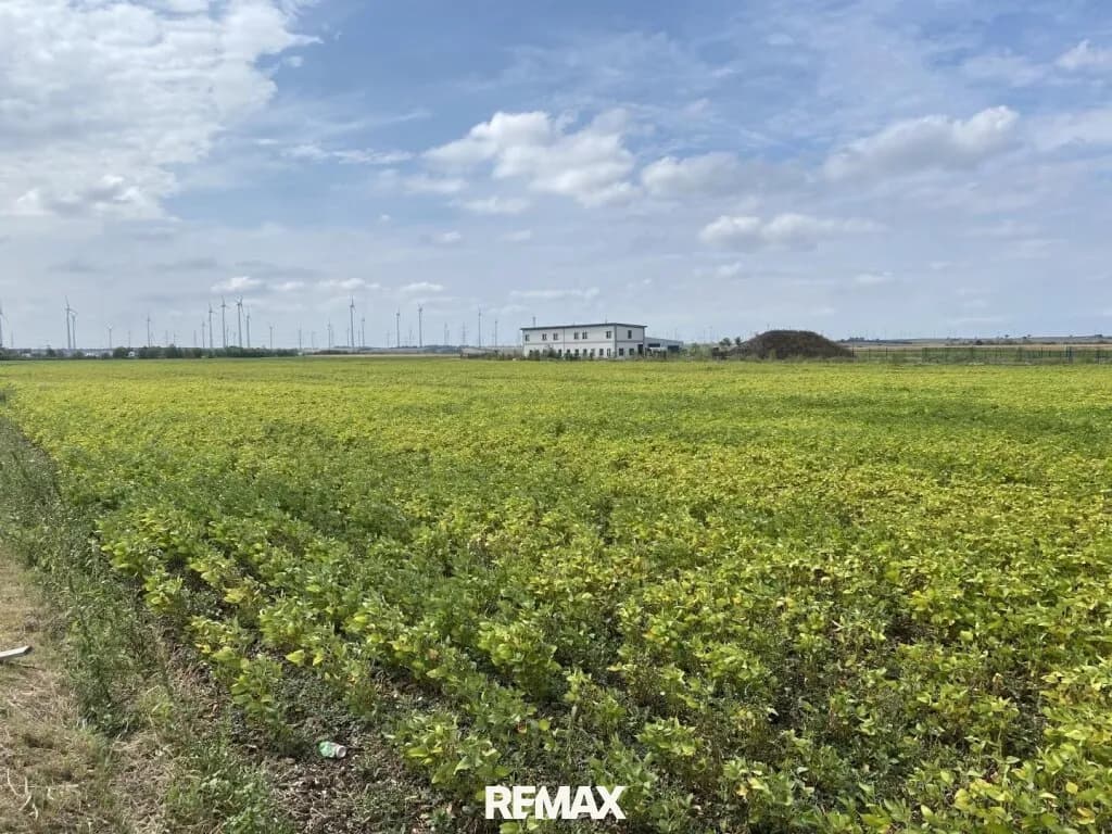 Immobilie kaufen in Neusiedl am See – 3 000 m², € 240.000 – Bild 5 von 5