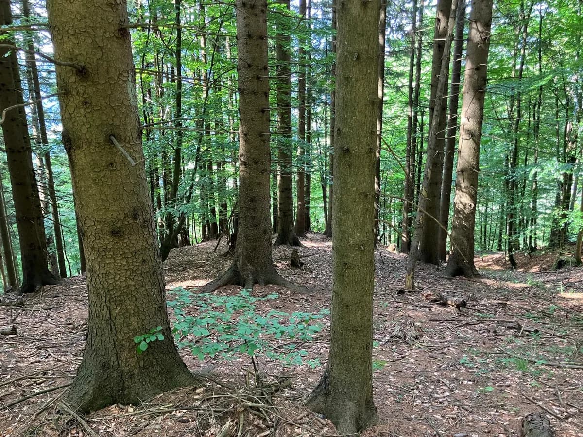Grundstück kaufen in Hermagor – 37 976 m², € 3 – Bild 4 von 24