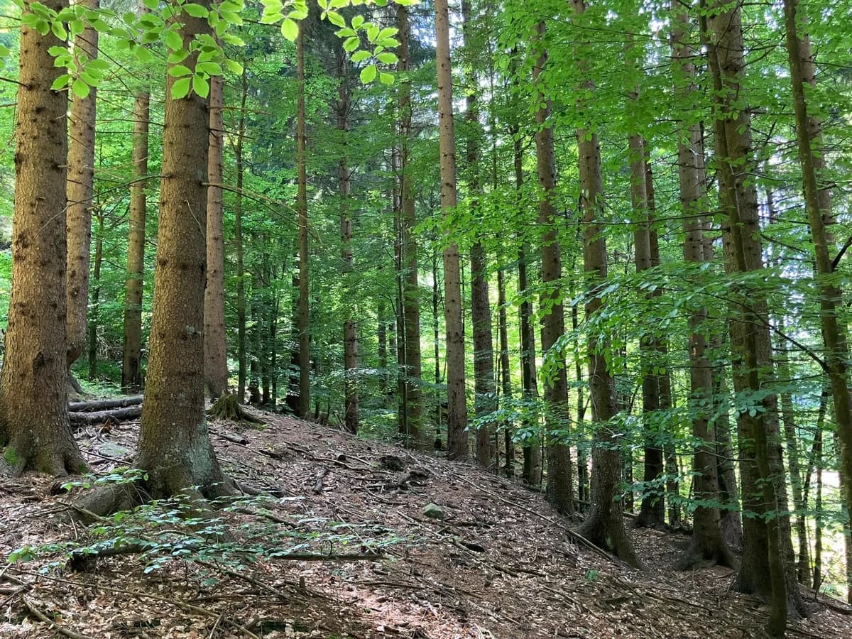 Grundstück kaufen in Hermagor – 37 976 m², € 3 – Bild 5 von 24