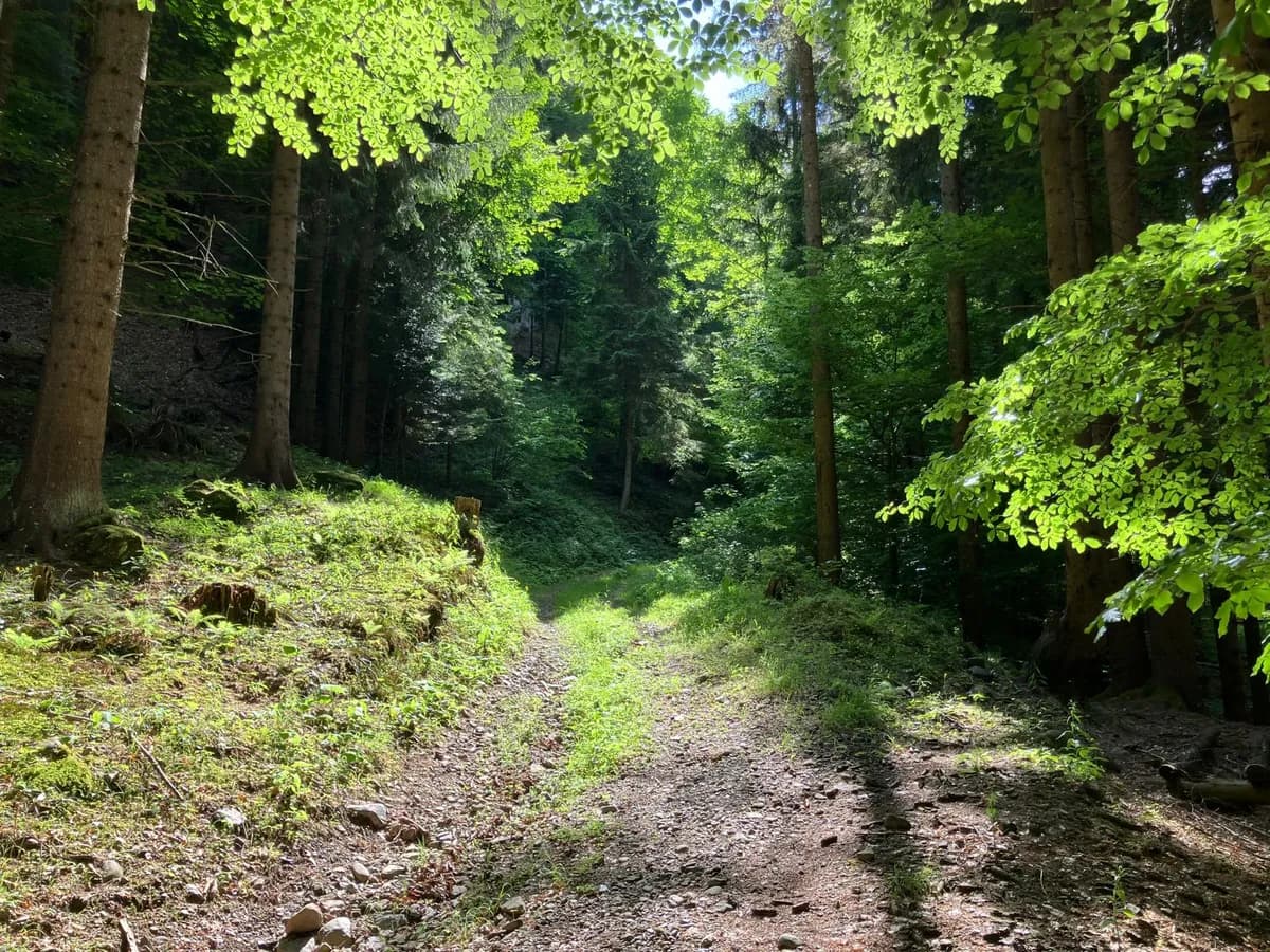 Grundstück kaufen in Hermagor – 37 976 m², € 3 – Bild 6 von 24