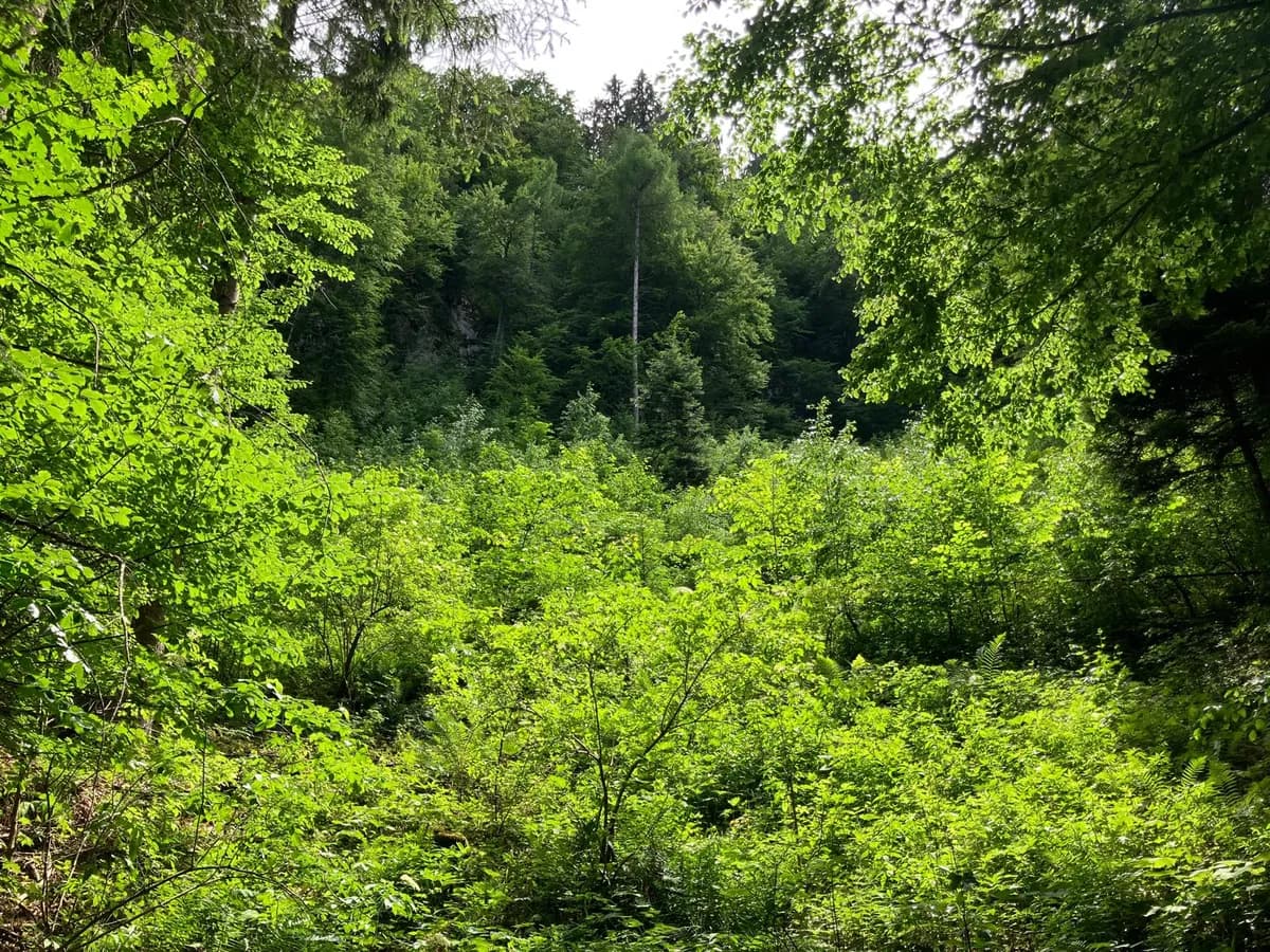 Grundstück kaufen in Hermagor – 37 976 m², € 3 – Bild 9 von 24