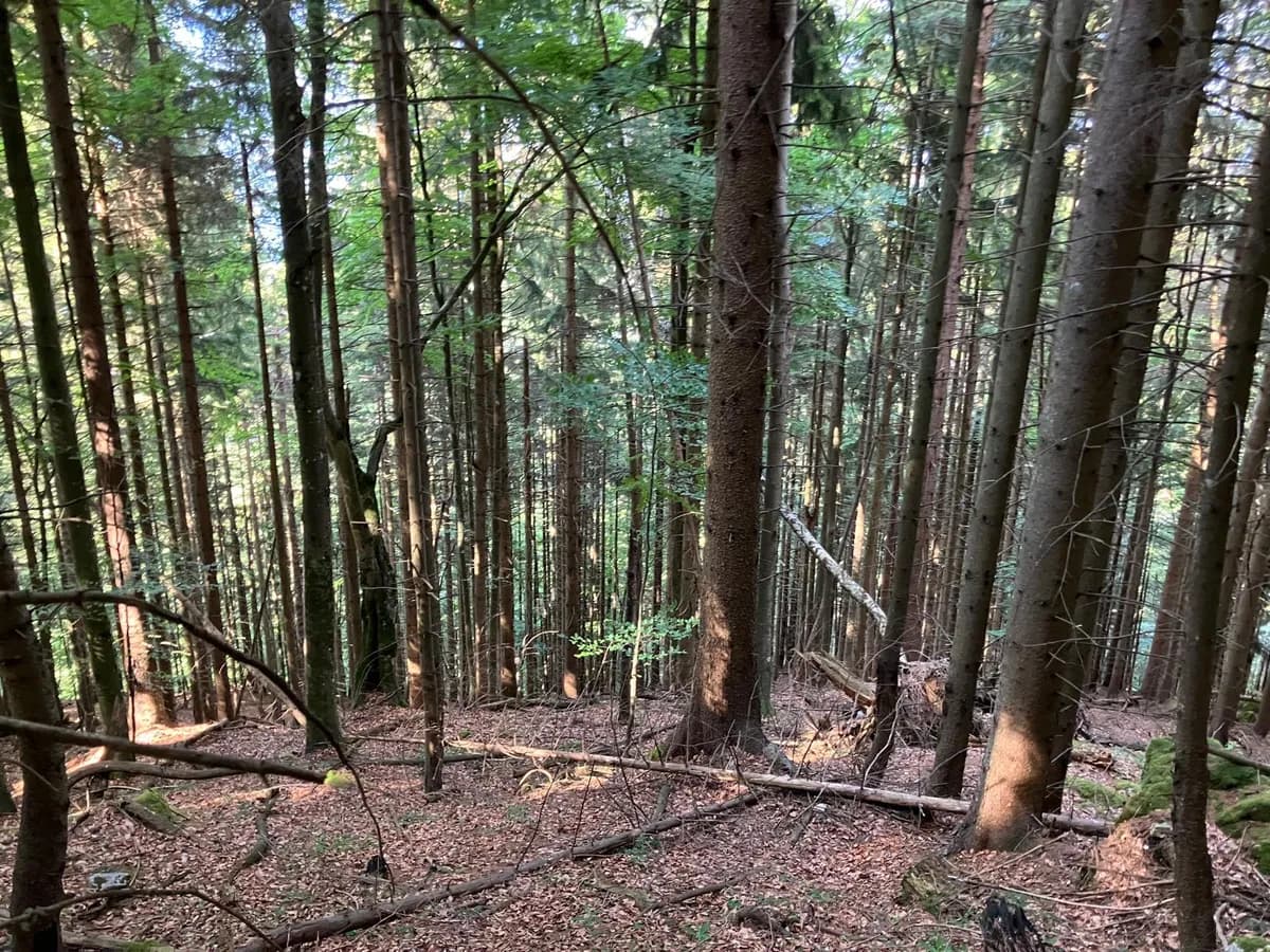 Grundstück kaufen in Hermagor – 37 976 m², € 3 – Bild 14 von 24