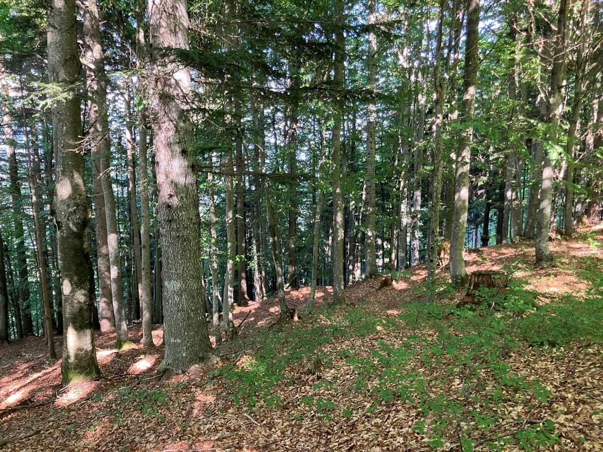Grundstück kaufen in Hermagor – 37 976 m², € 3 – Bild 15 von 24