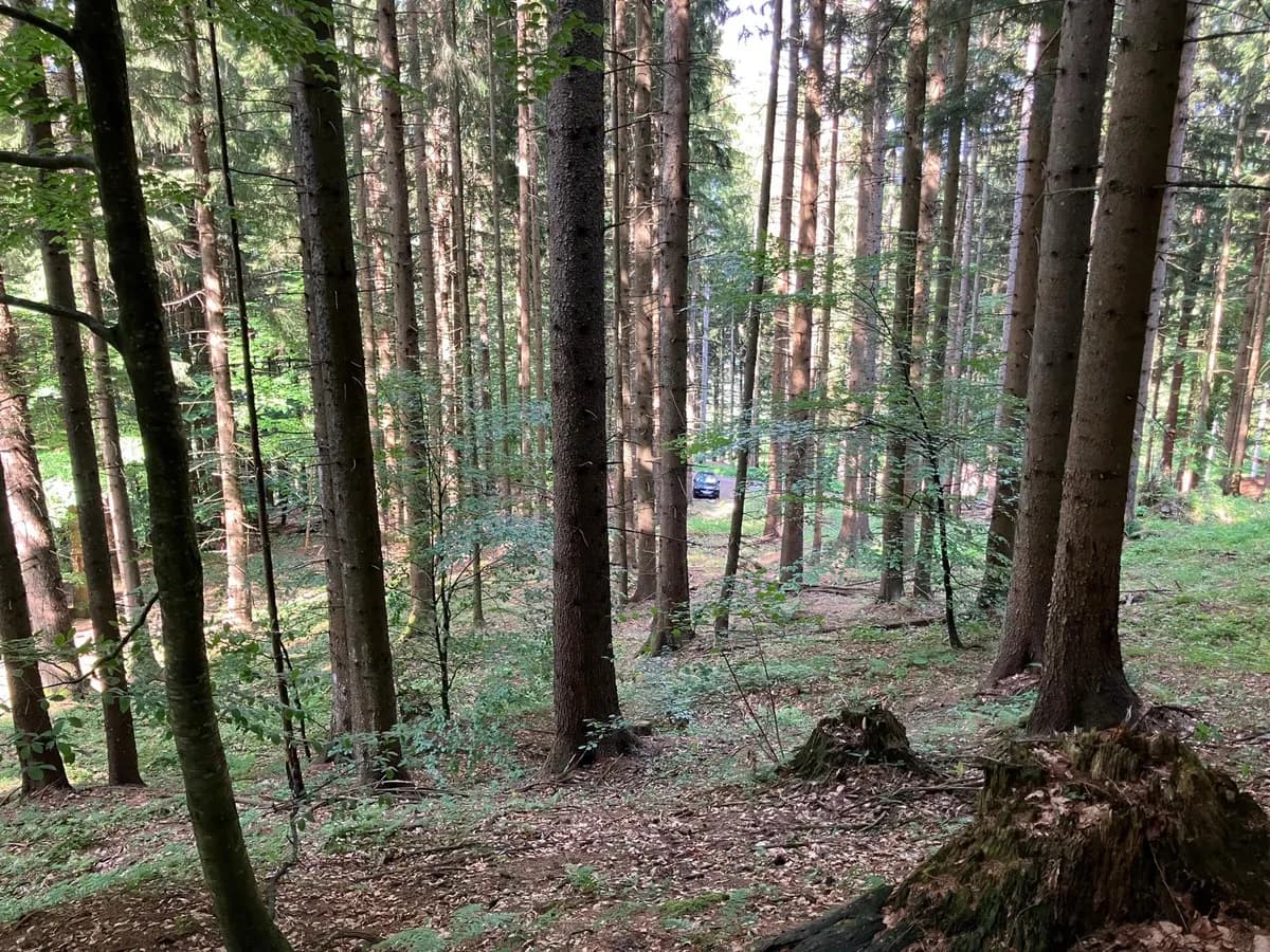 Grundstück kaufen in Hermagor – 37 976 m², € 3 – Bild 17 von 24
