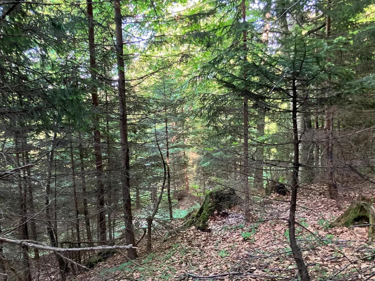 Grundstück kaufen in Hermagor – 37 976 m², € 3 – Bild 18 von 24