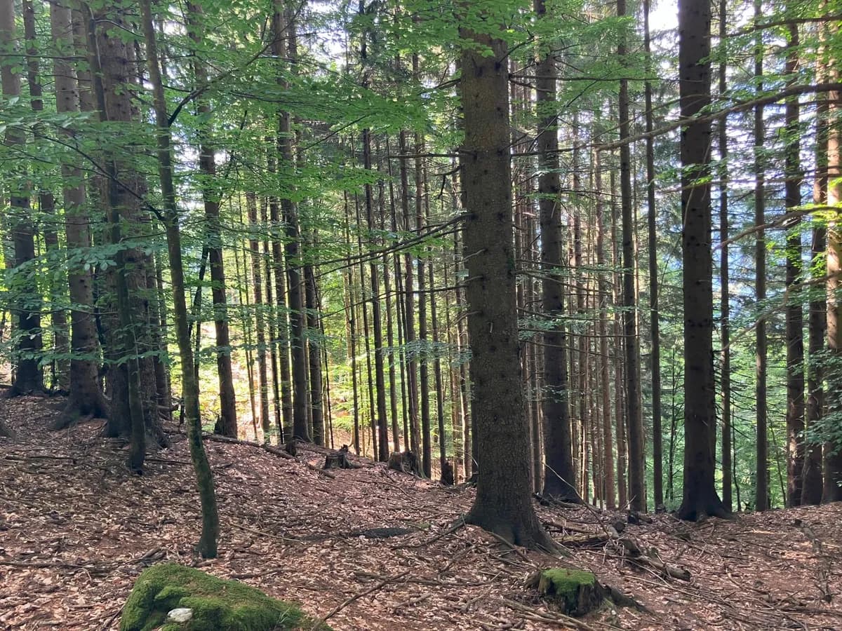 Grundstück kaufen in Hermagor – 37 976 m², € 3 – Bild 21 von 24