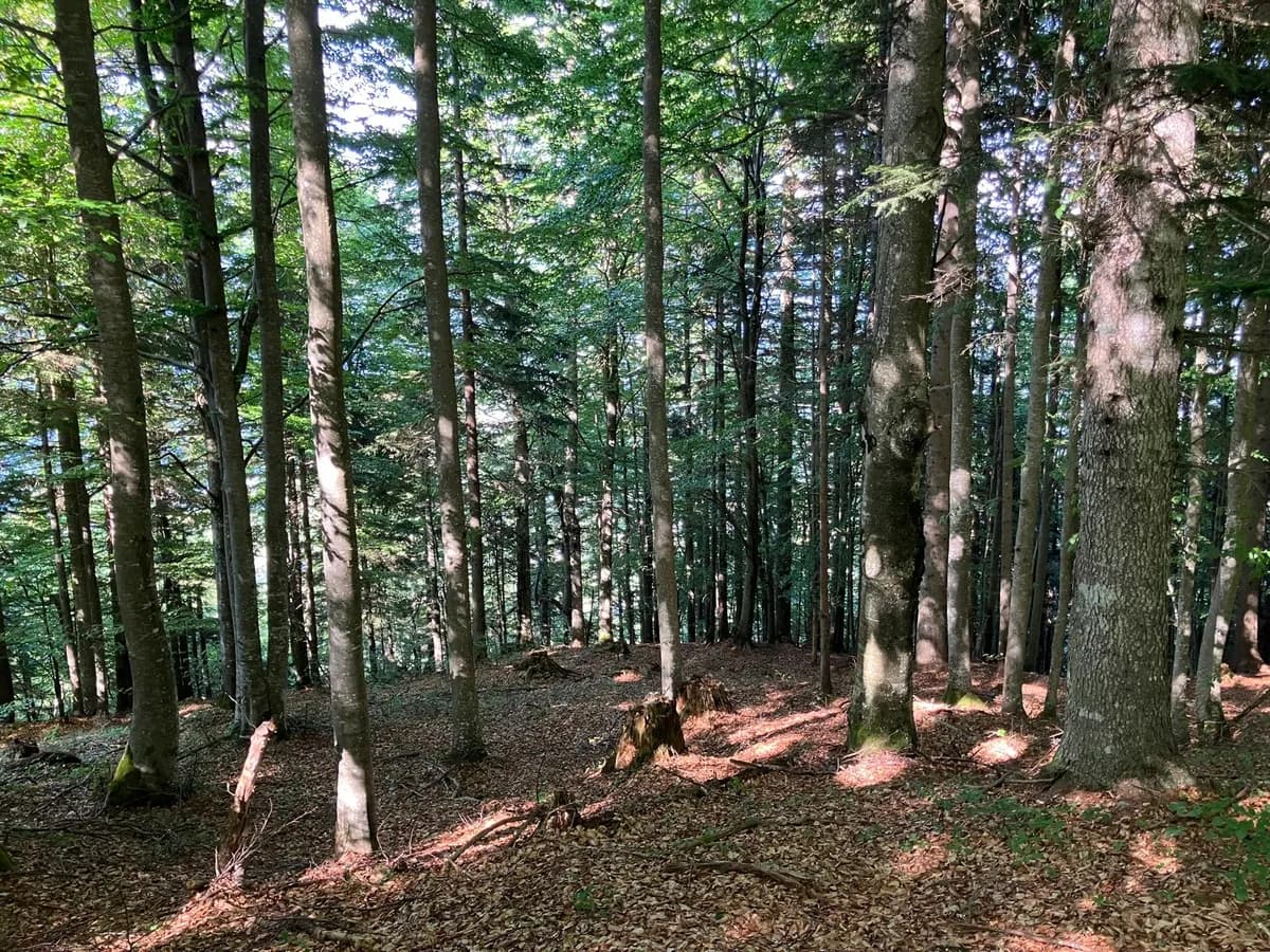 Grundstück kaufen in Hermagor – 37 976 m², € 3 – Bild 22 von 24
