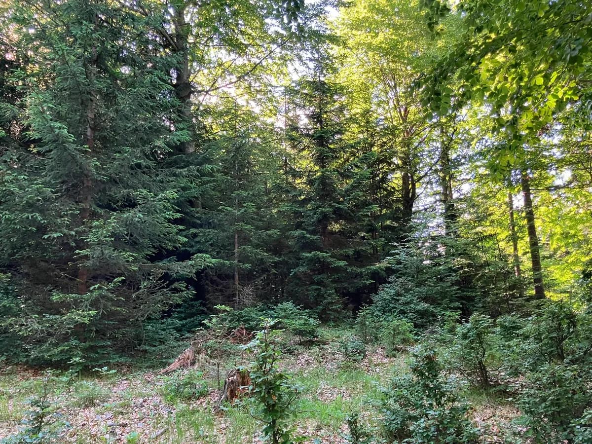Grundstück kaufen in Hermagor – 37 976 m², € 3 – Bild 24 von 24