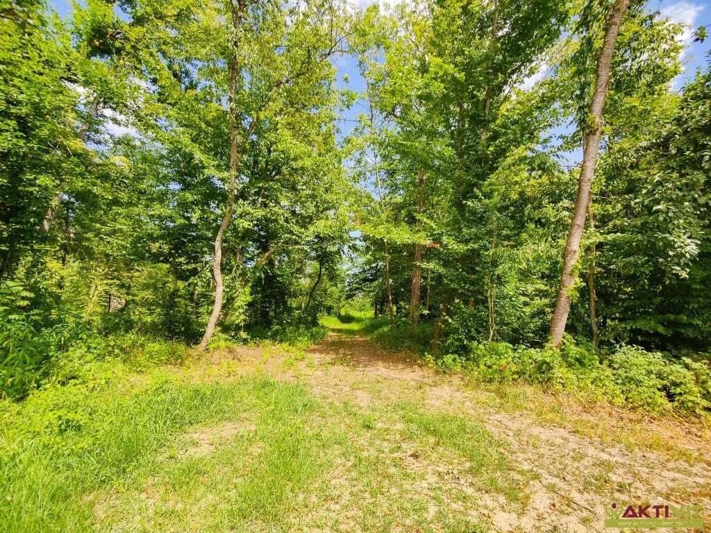 2-Zimmer-Immobilie kaufen in Südoststeiermark – 45 m², € 75.000 – Bild 18 von 18