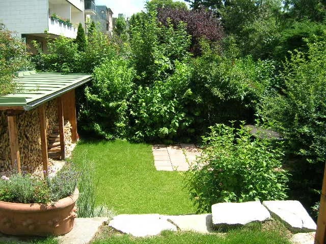 1-Zimmer-Wohnung mieten in Wien – 42 m², € 665 – Bild 4 von 12