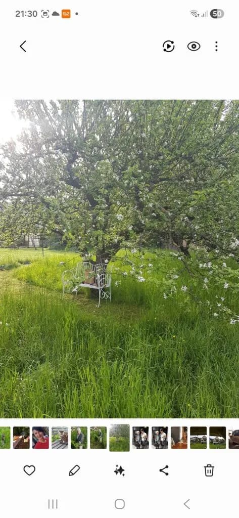 5-Zimmer-Haus kaufen in Bruck-Mürzzuschlag – 120 m², € 248.000 – Bild 5 von 50
