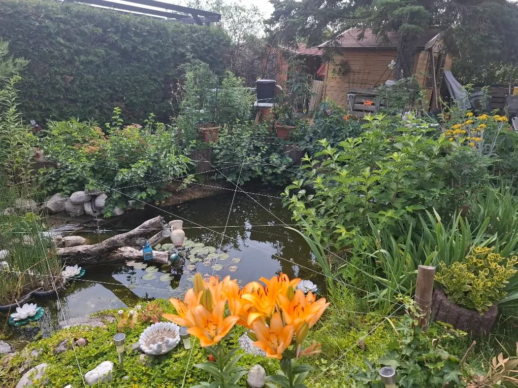 4-Zimmer-Haus kaufen in Wiener Neustadt Land – 115 m², € 380.000 – Bild 15 von 34