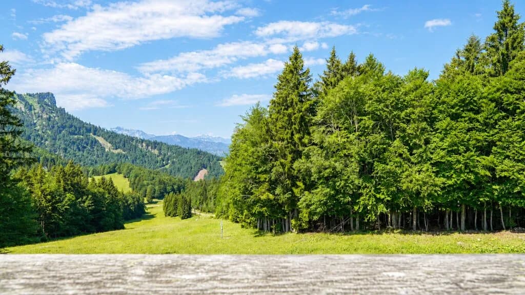 Gewerbeimmobilie kaufen in Gmunden – € 1.200.000 – Bild 19 von 25