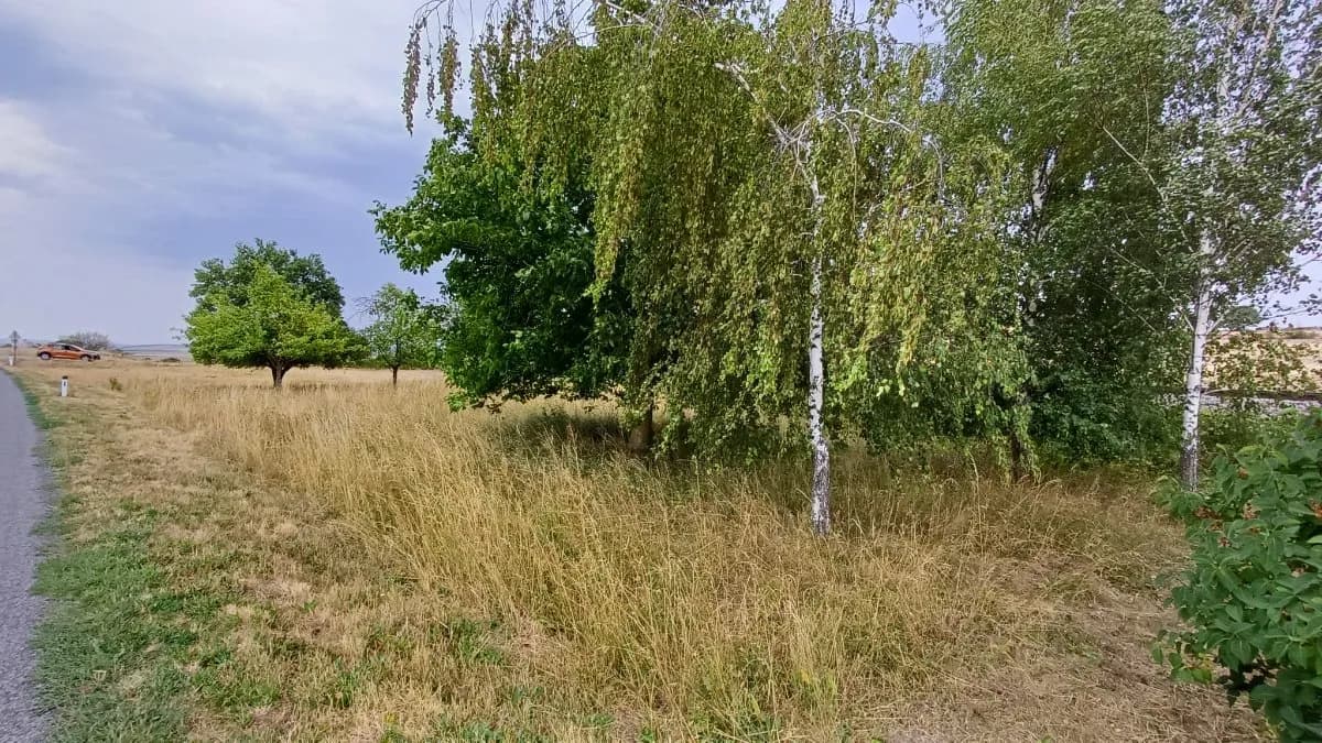 Grundstück kaufen in Horn – 575 m², € 5.000 – Bild 2 von 21