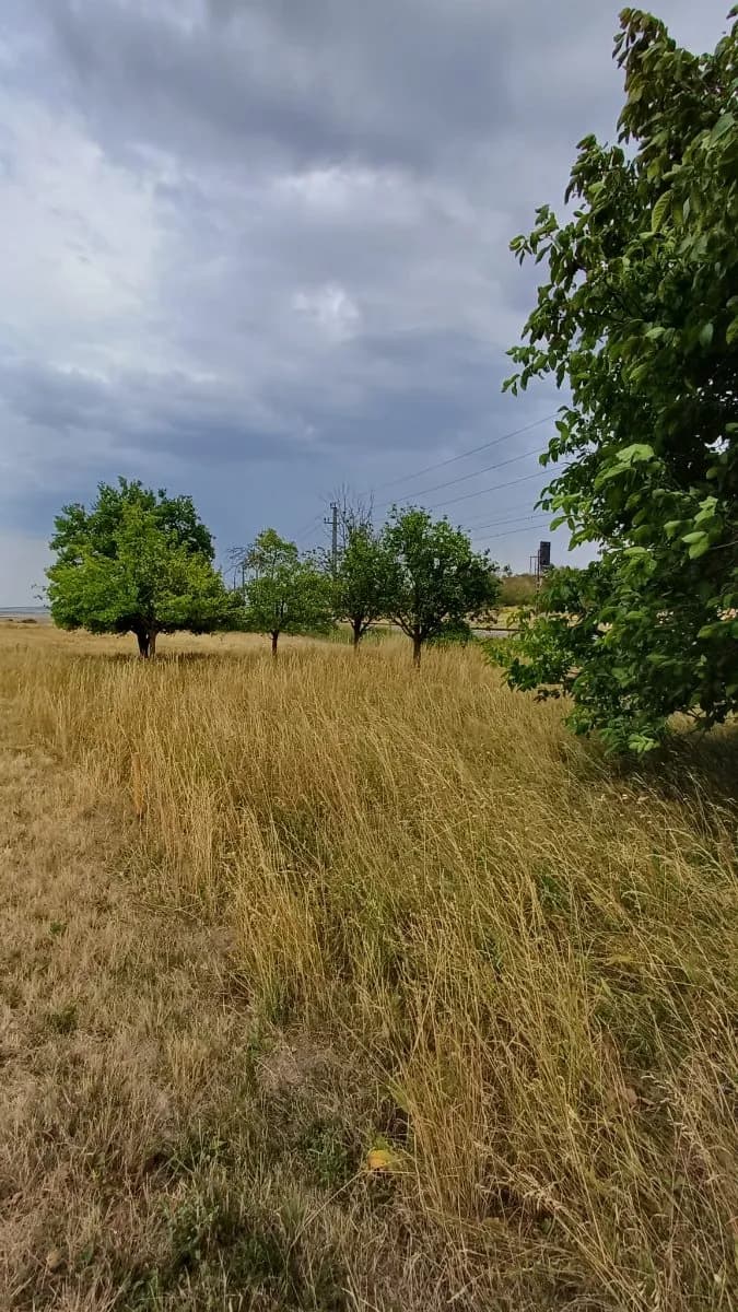 Grundstück kaufen in Horn – 575 m², € 5.000 – Bild 3 von 21