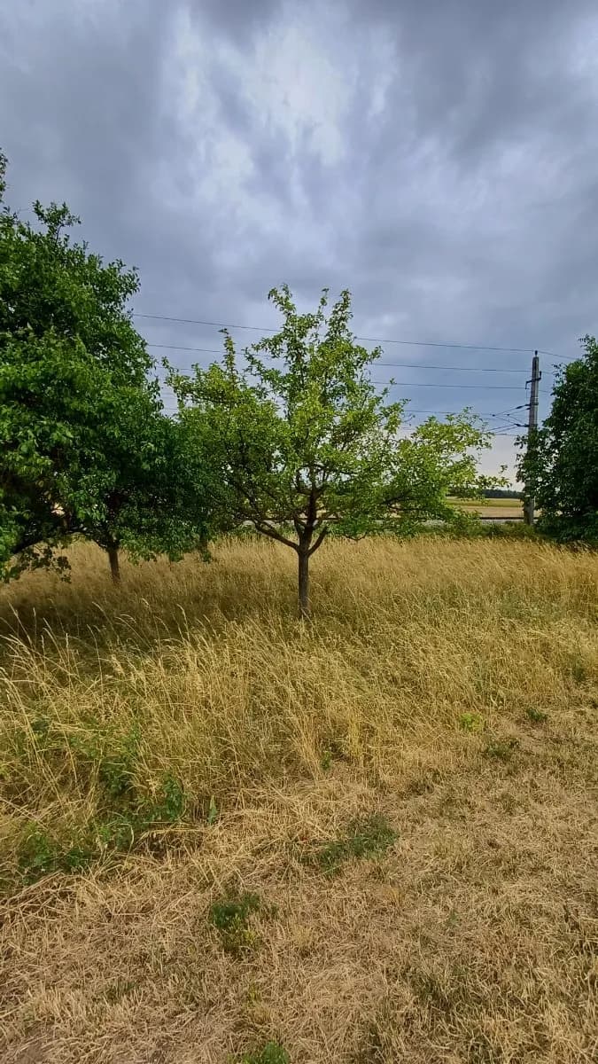 Grundstück kaufen in Horn – 575 m², € 5.000 – Bild 6 von 21
