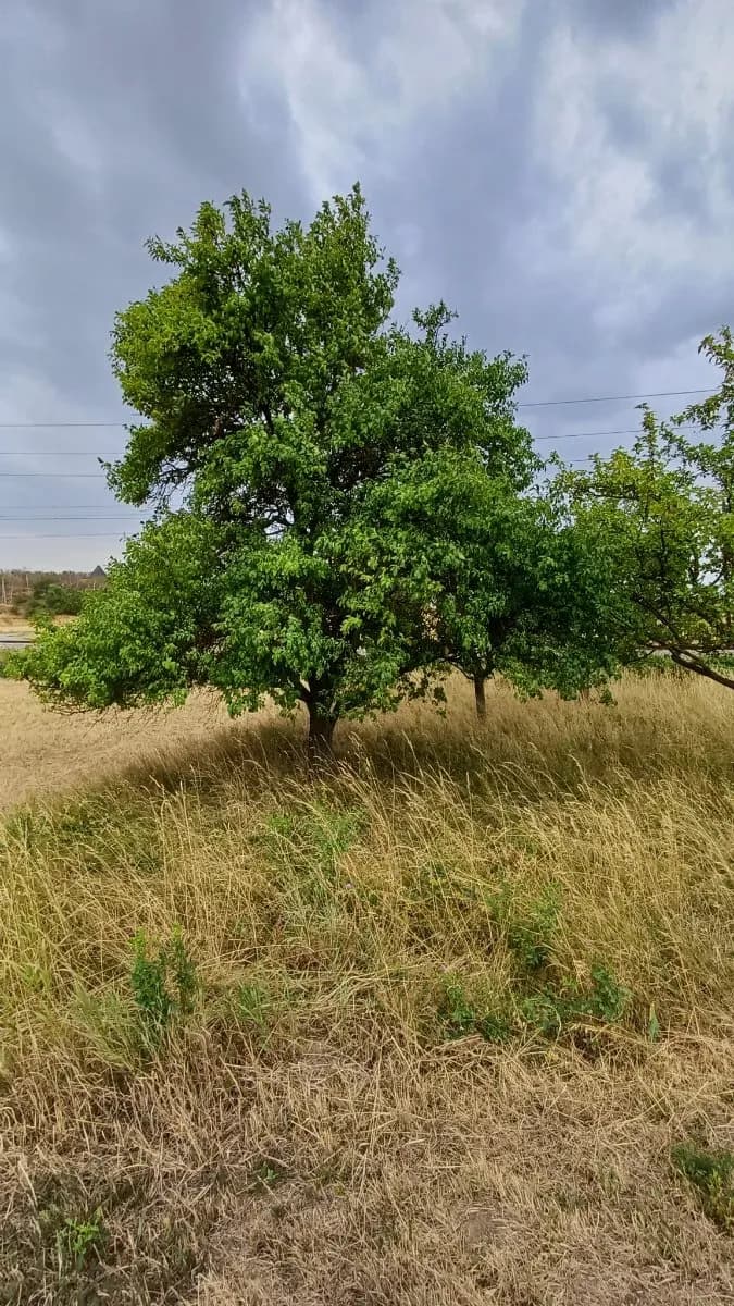 Grundstück kaufen in Horn – 575 m², € 5.000 – Bild 8 von 21
