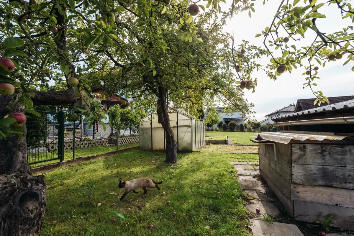 5-Zimmer-Haus kaufen in Graz – 85 m², € 990.000 – Bild 2 von 13