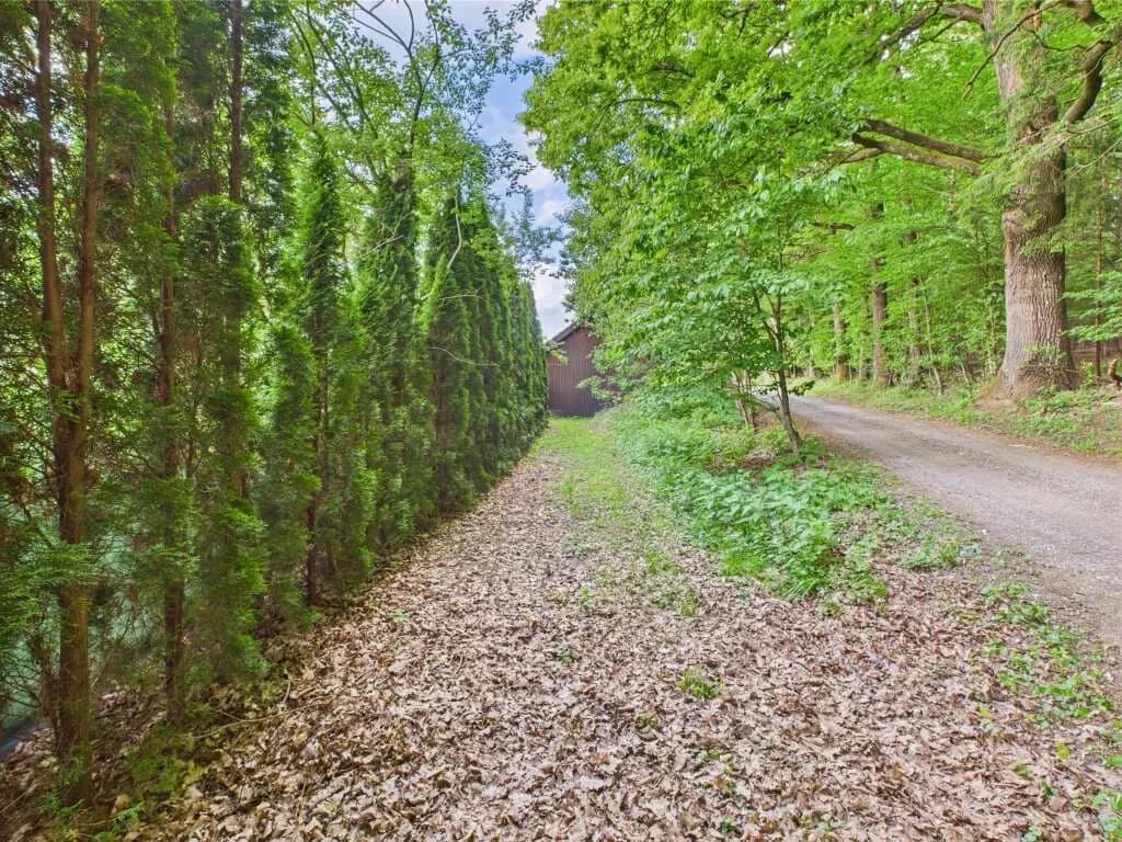 Grundstück kaufen in Hartberg-Fürstenfeld – 3 325 m², € 139.000 – Bild 2 von 8