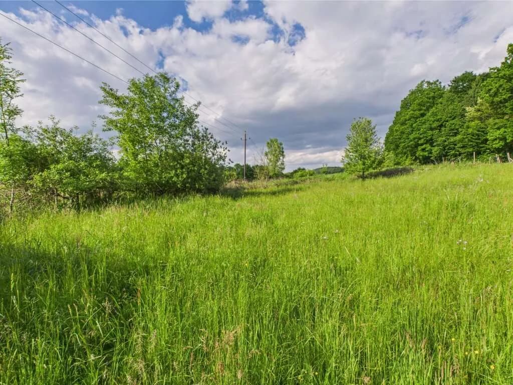 Grundstück kaufen in Hartberg-Fürstenfeld – 3 325 m², € 139.000 – Bild 3 von 8