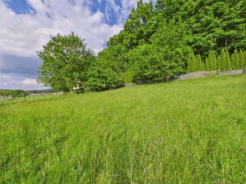 Grundstück kaufen in Hartberg-Fürstenfeld – 3 325 m², € 139.000 – Bild 4 von 8