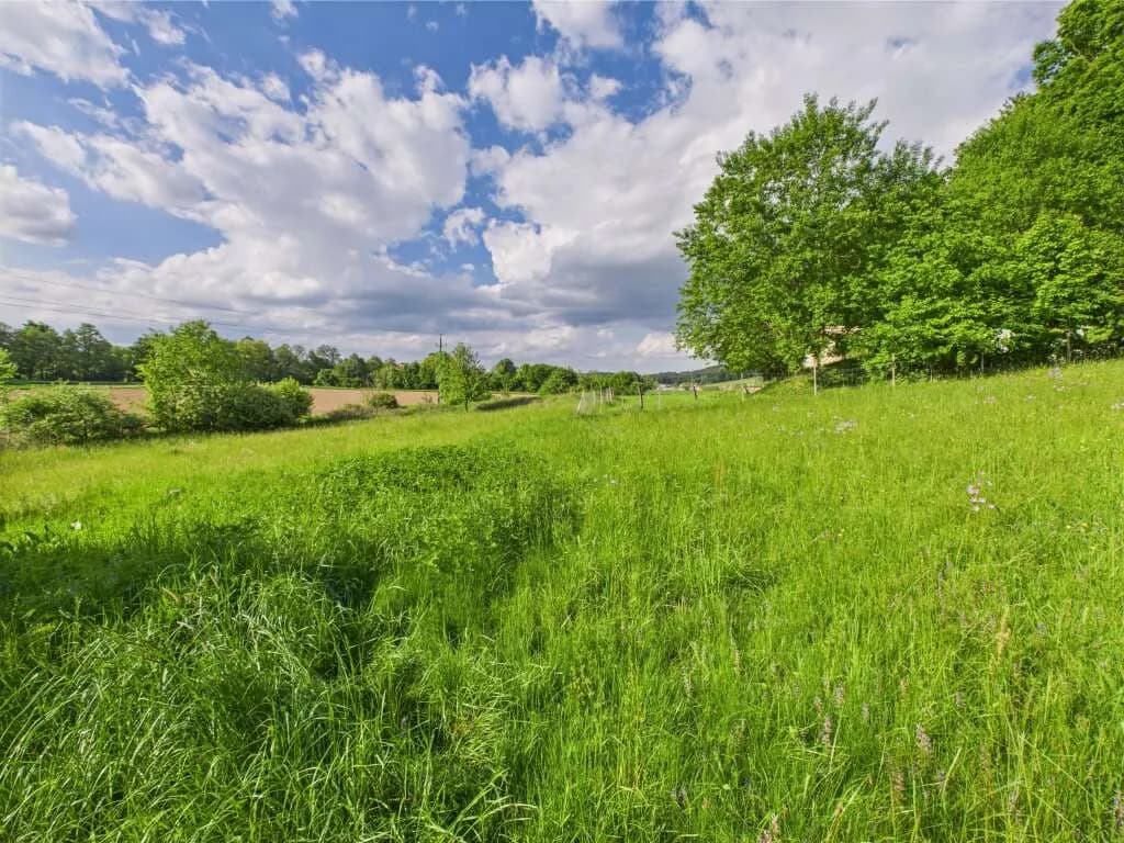 Grundstück kaufen in Hartberg-Fürstenfeld – 3 325 m², € 139.000 – Bild 5 von 8