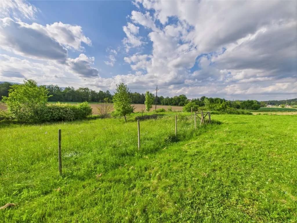 Grundstück kaufen in Hartberg-Fürstenfeld – 3 325 m², € 139.000 – Bild 6 von 8