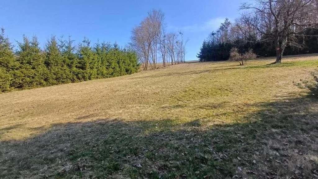 3-Zimmer-Haus kaufen in Jennersdorf – 163 m², € 700.000 – Bild 63 von 64