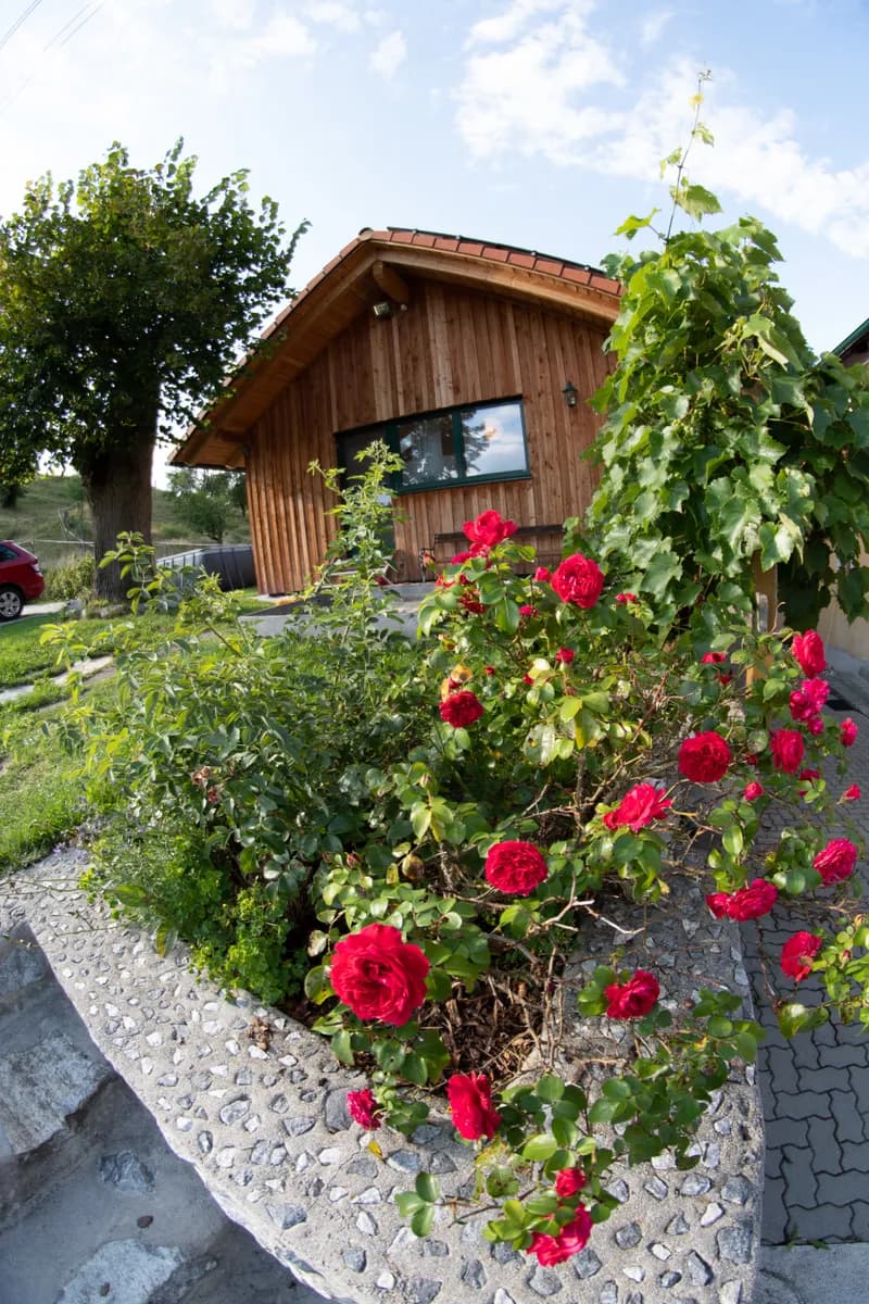 8-Zimmer-Haus kaufen in Lilienfeld – 210 m², € 495.000 – Bild 14 von 51