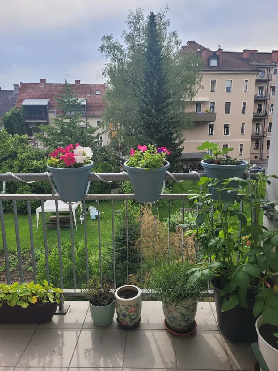 3-Zimmer-Wohnung kaufen in Klagenfurt – 77 m², € 295.000