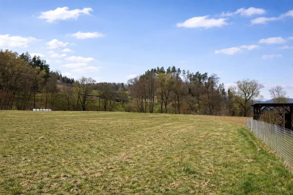 Grundstück kaufen in Voitsberg – 9 700 m²