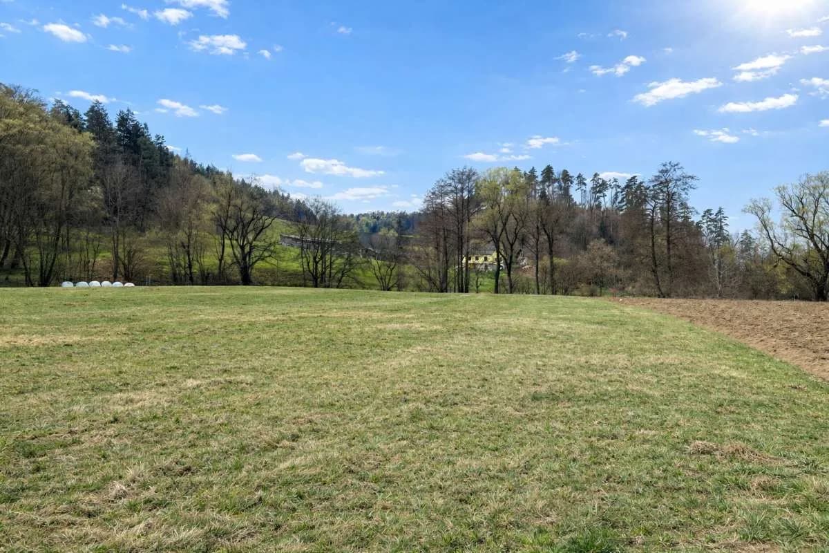 Grundstück kaufen in Voitsberg – 9 700 m² – Bild 5 von 8