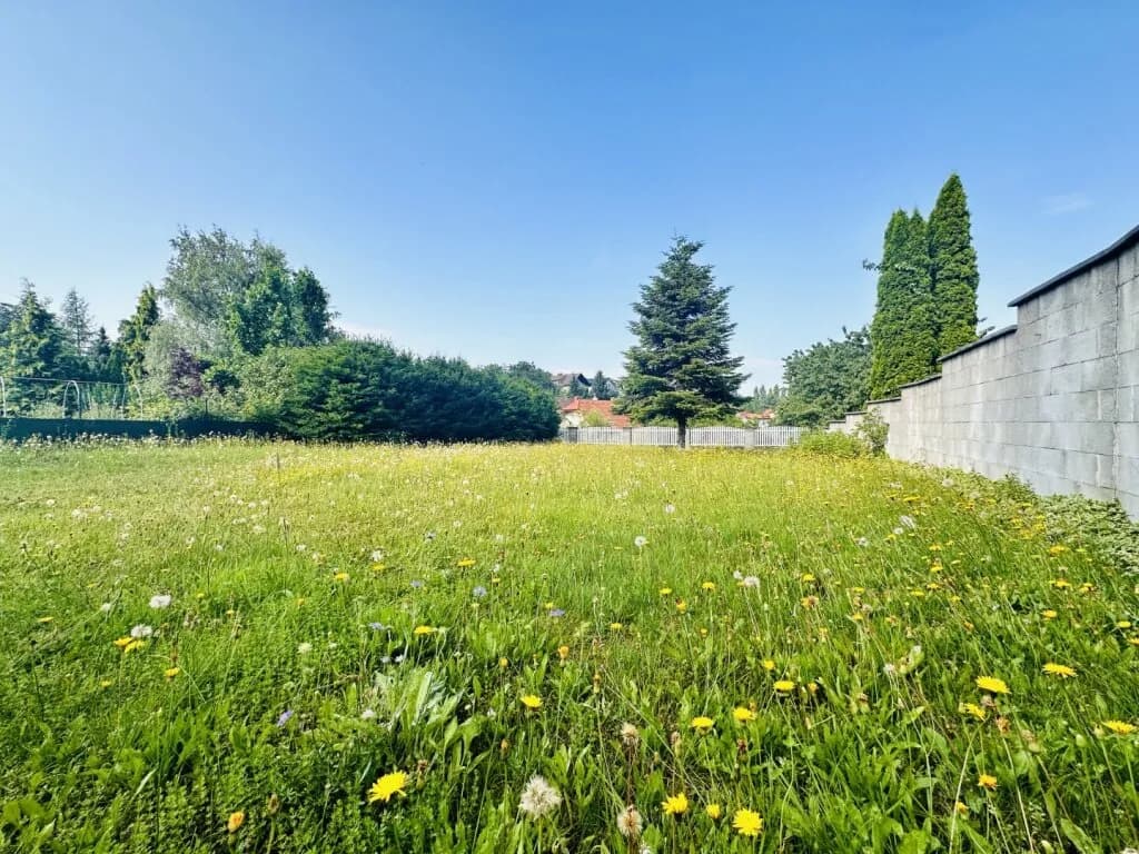 Wohnung kaufen in Wiener Neustadt Land – 43,01 m², € 74.900 – Bild 2 von 9