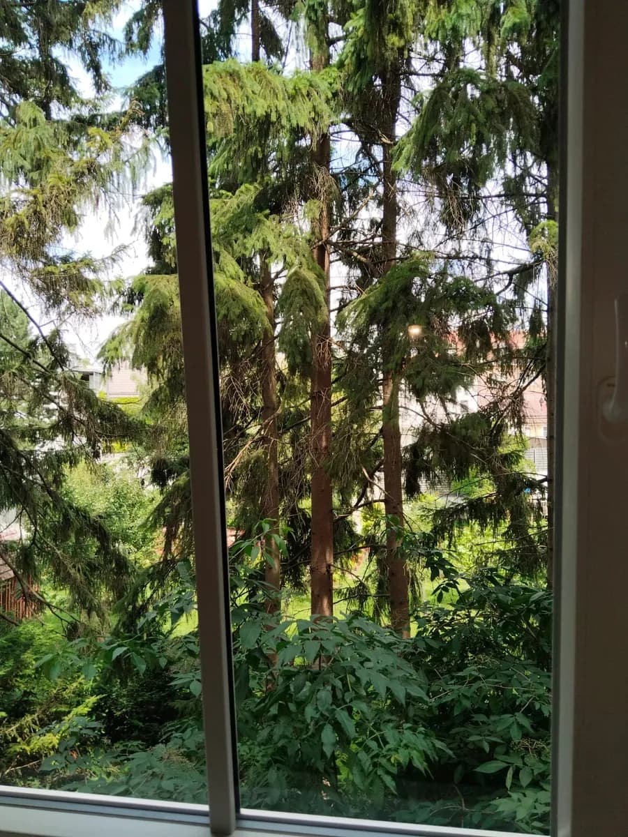 4-Zimmer-Wohnung mieten in Sankt Pölten – 104 m², € 1.205 – Bild 5 von 25