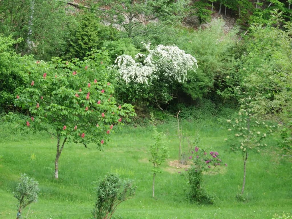 Haus kaufen in Vöcklabruck – 408 m² – Bild 5 von 6