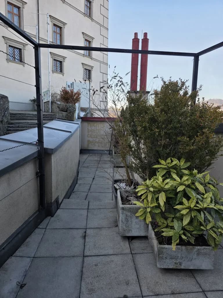 Wohnung kaufen in Linz – 96,69 m², € 395.000 – Bild 3 von 25