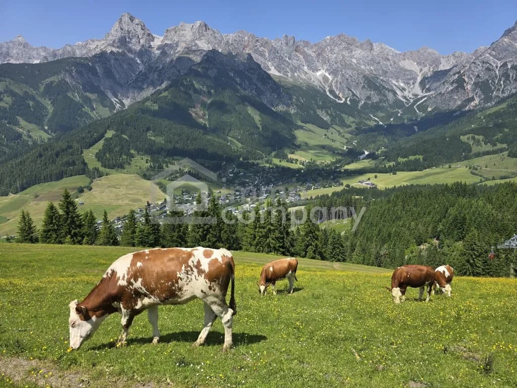 Wohnung kaufen in Zell am See – 41 m², € 324.900 – Bild 15 von 20