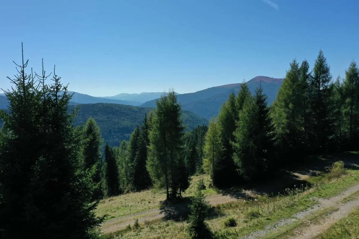 Grundstück kaufen in Murau – 127 000 m² – Bild 7 von 16
