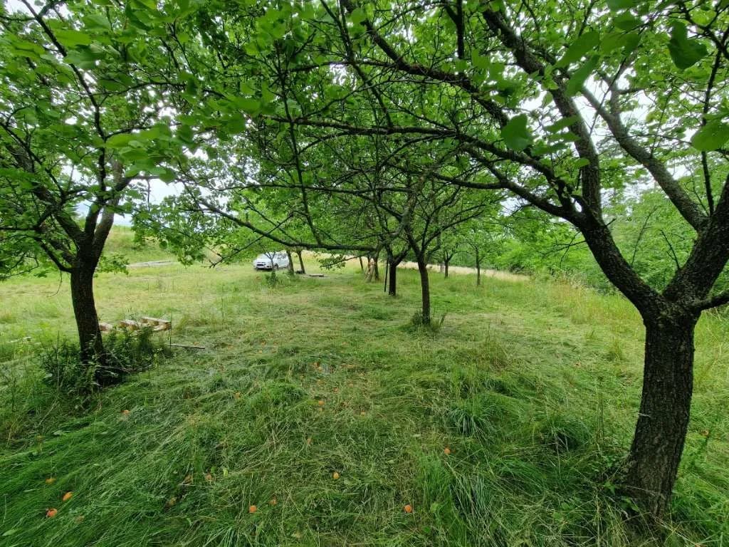 Grundstück mieten in Krems Land – 4 370 m², € 200