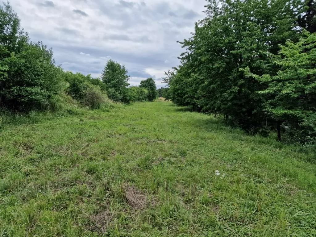 Grundstück mieten in Krems Land – 4 370 m², € 200 – Bild 3 von 5