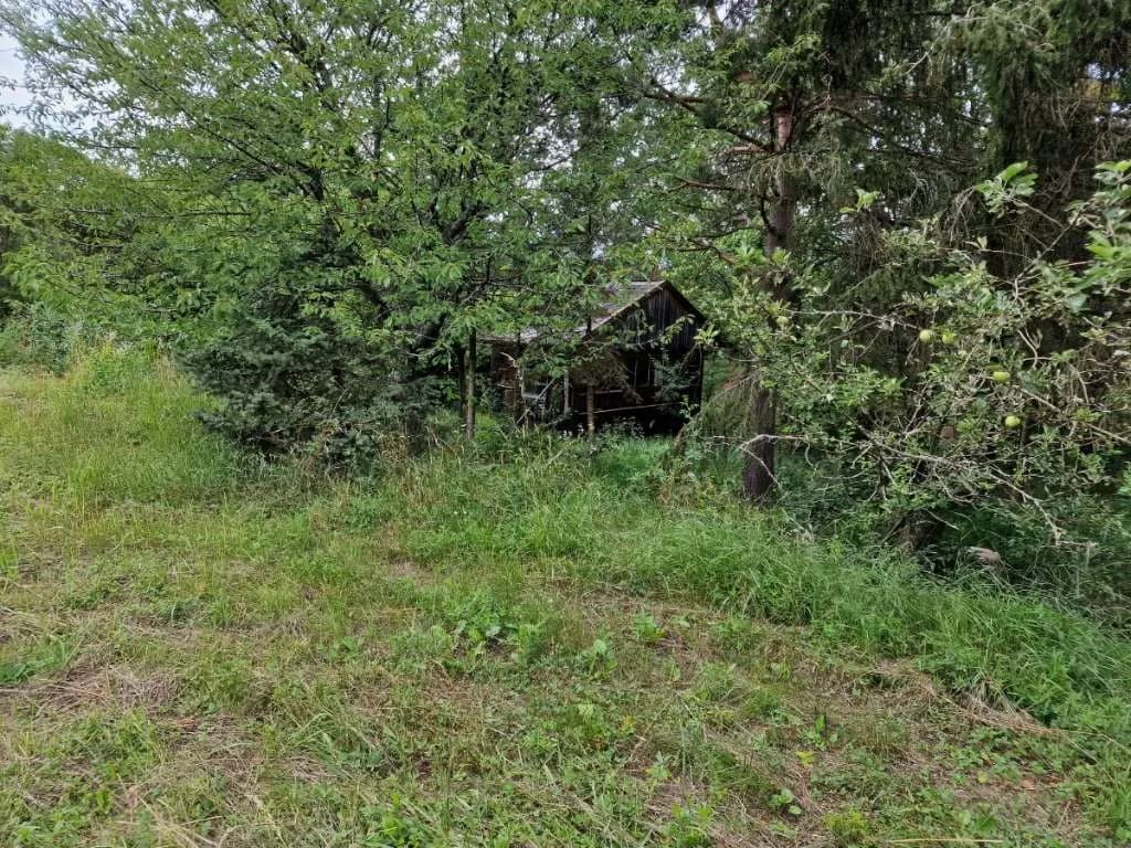 Grundstück mieten in Krems Land – 4 370 m², € 200 – Bild 4 von 5