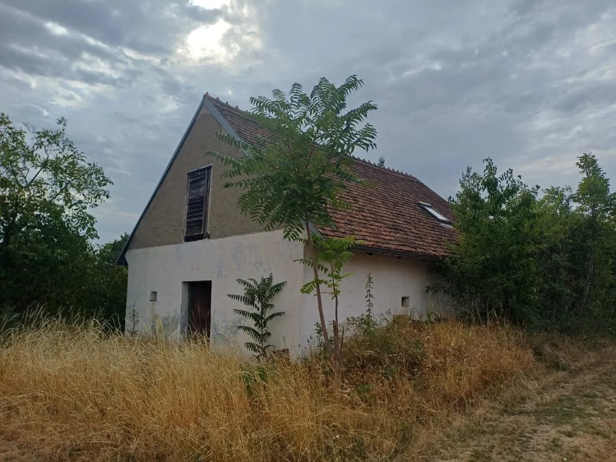 Immobilie kaufen in Mistelbach – 54 m², € 30.000 – Bild 2 von 11
