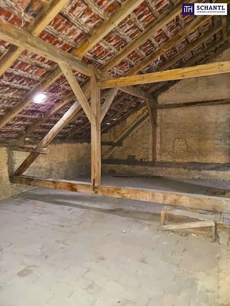 Gewerbeimmobilie kaufen in Wien – 268,51 m², € 365.000 – Bild 13 von 23