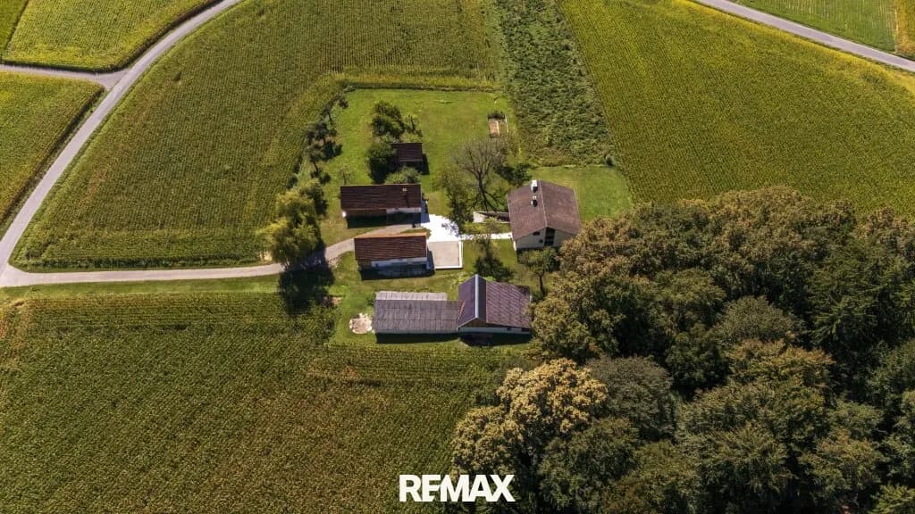 Grundstück kaufen in Südoststeiermark – 33 000 m², € 649.000 – Bild 6 von 47