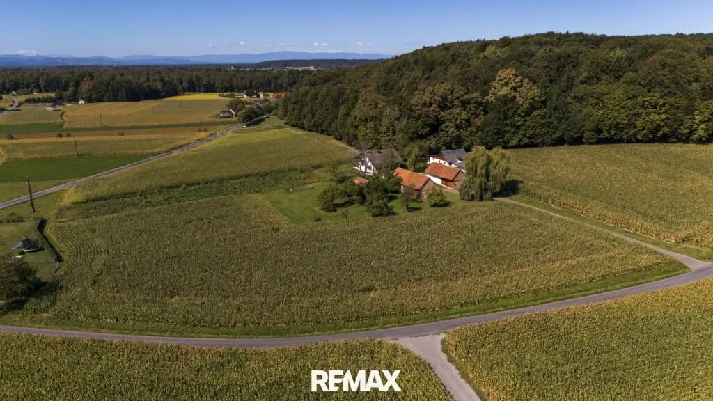 Grundstück kaufen in Südoststeiermark – 33 000 m², € 649.000 – Bild 24 von 47