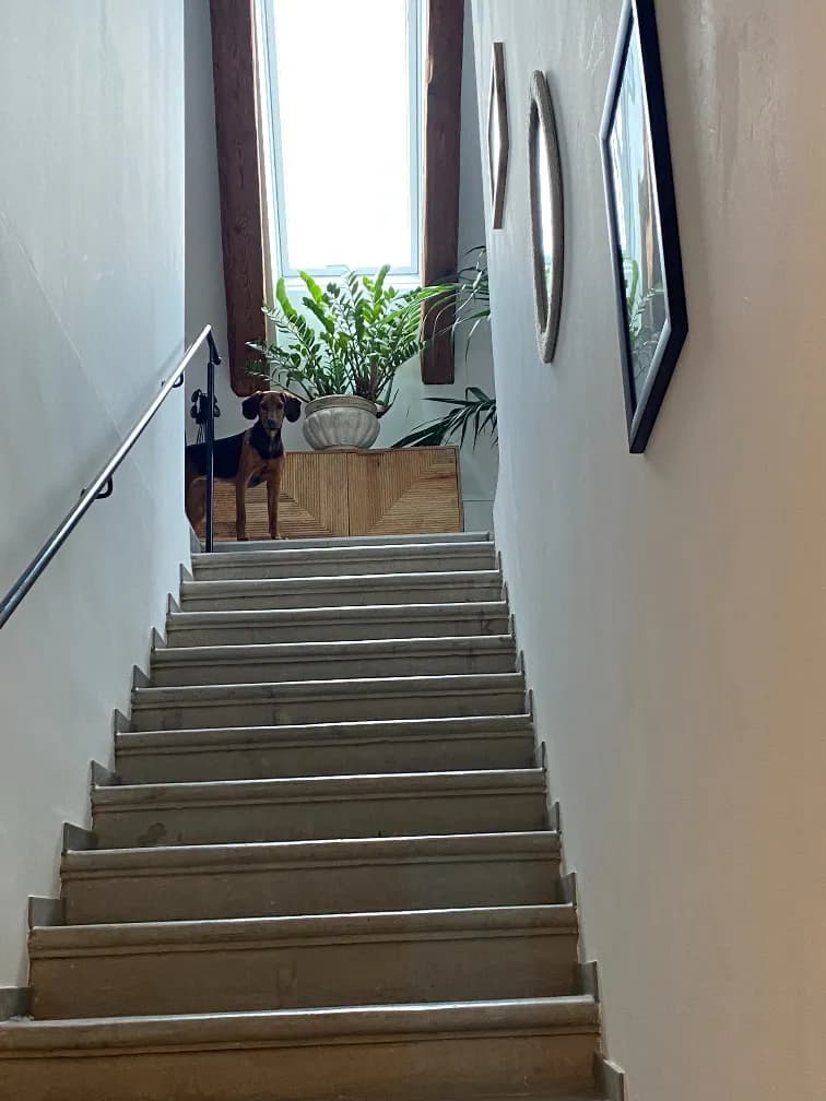 4-Zimmer-Wohnung mieten in Steyr-Land – 100 m², € 1.297 – Bild 3 von 20